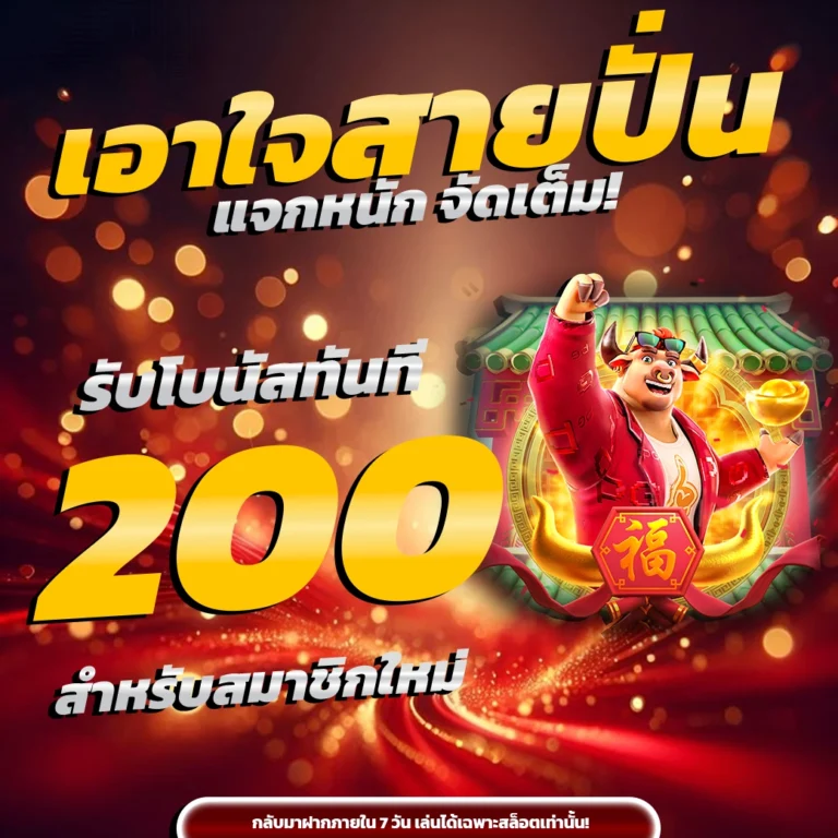 โปร3 copy